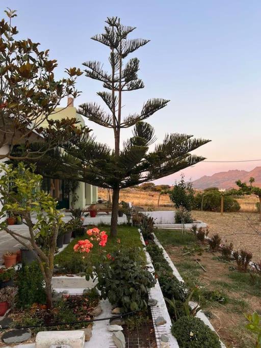 Borgo Majoca - Μονοκατοικία Σε Κυκλαδίτικο Νησί Mesi  Exterior photo